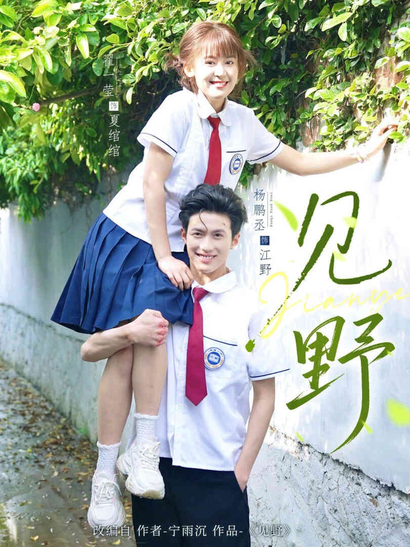 见野