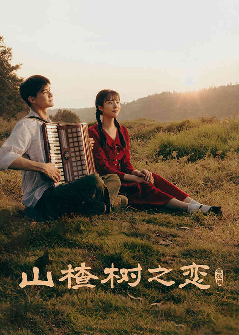 山楂树之恋