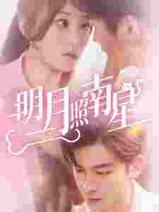 明月照南星