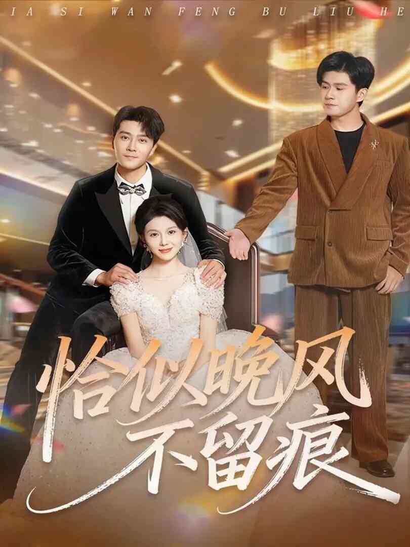 恰似晚风不留痕