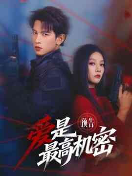 爱是最高机密
