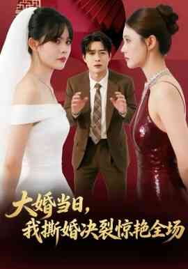 大婚当日，我撕婚决裂惊艳全场