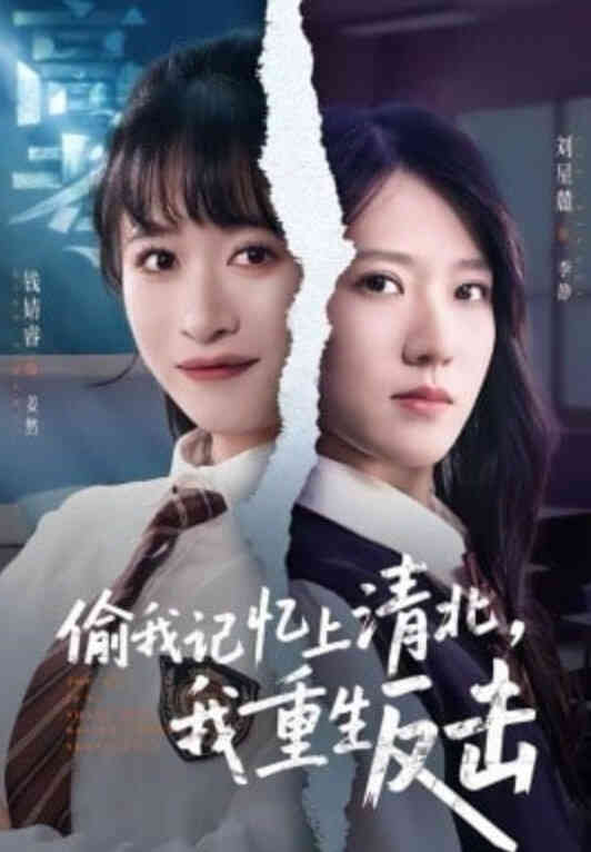 偷我记忆上清北，我重生反击