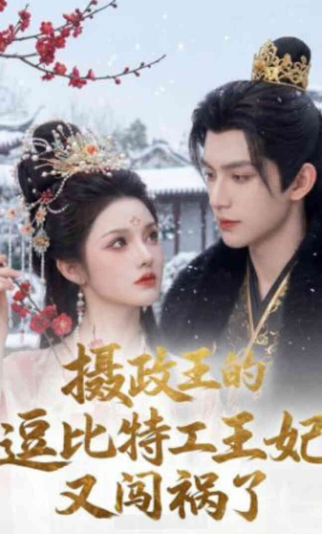 摄政王的逗比特工王妃又闯祸了