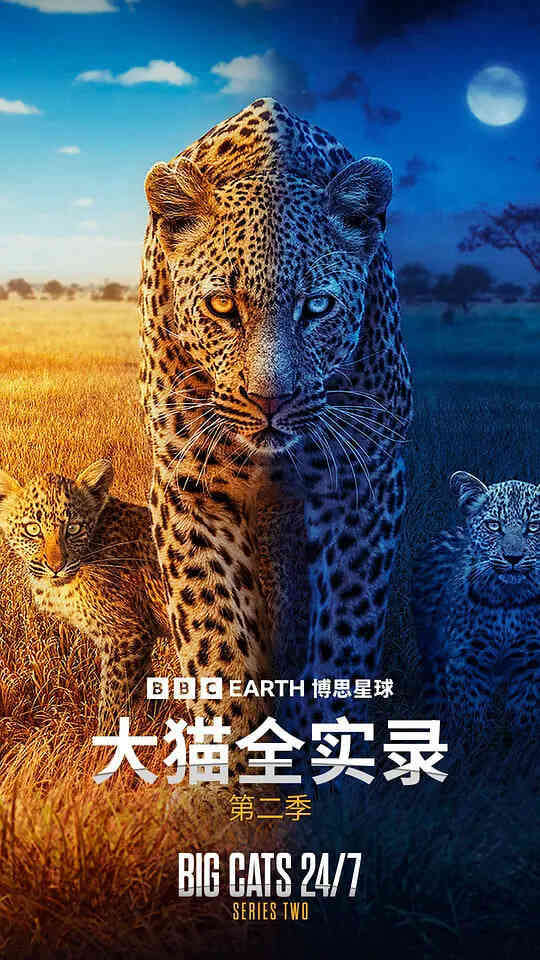 大猫全实录 第二季