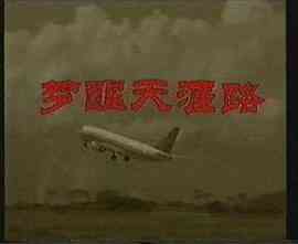 梦醒天涯路