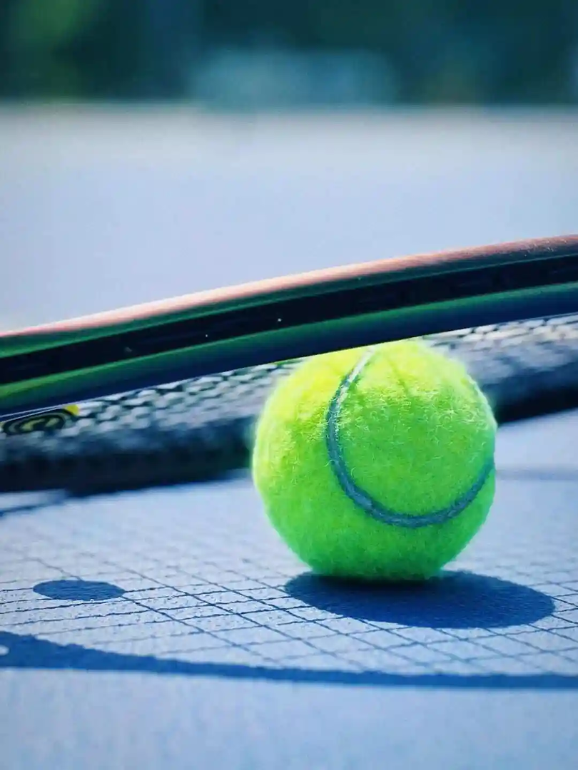 WTA250斯海尔托亨博斯站女单第二轮四分之一决赛：森梅兹VS里内特