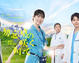 在勿忘草盛开的城镇