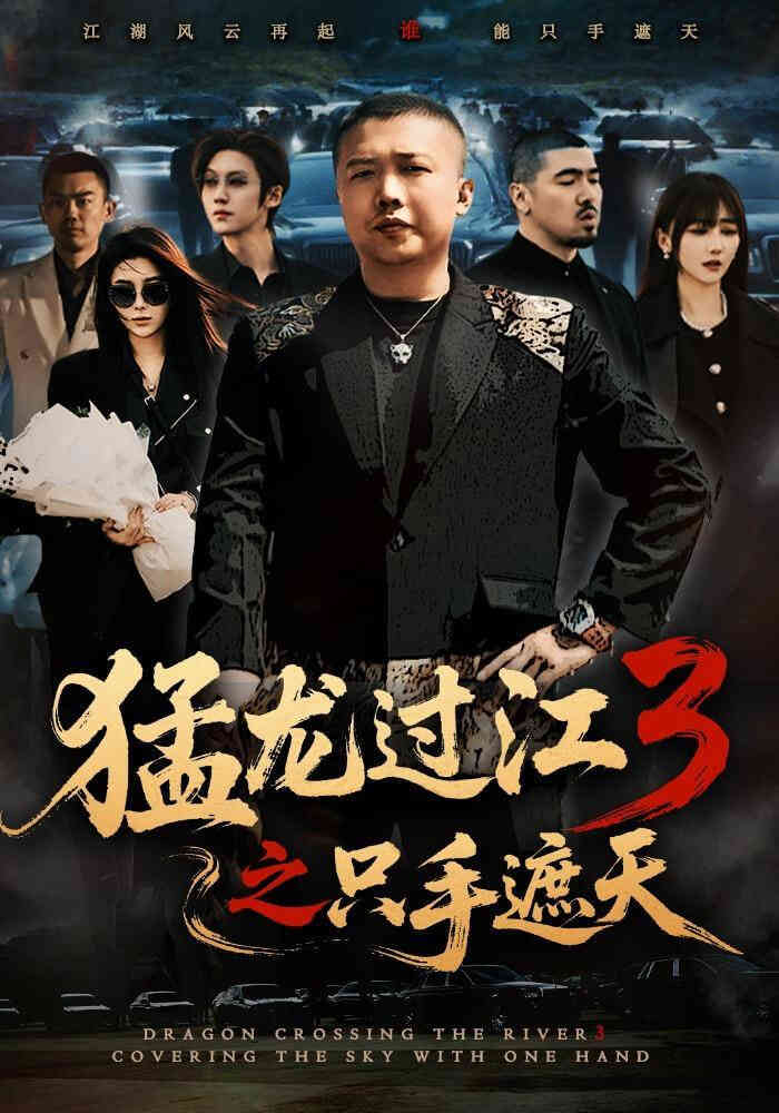 猛龙过江 3 之只手遮天